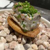 CIRPAS - 
