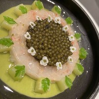 CIRPAS - 