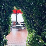 アマルフィイ デラセーラ - 