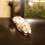 塩竈 すし哲 S-PAL仙台店 - 蝦蛄の雌雄抱き合わせ