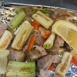 たぬき ラクーンドッグ - 