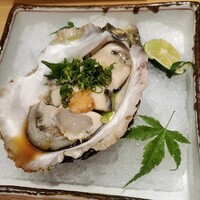 朧 - 岩牡蠣