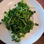 健康中華 青蓮 川崎西口店 - 豆苗のニンニク炒め、美味