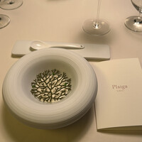 Plaiga TOKYO - 