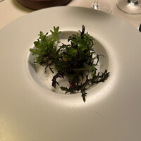 Plaiga TOKYO - 