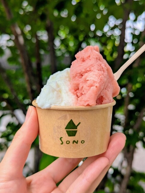 農家のクラフトジェラート店SONO - 北方真桑/ジェラート・アイス