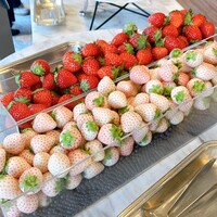 シースケープ テラス・ダイニング - 