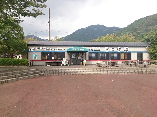 鹿児島県 Jr肥薩線 吉松駅駅前 観光sl会館 霧島山麓 湧水茶プリン By ぐぐちゃん 観光sl会館 ぽっぽ亭 吉松 洋菓子 その他 食べログ
