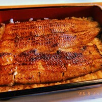 鰻割烹 伊豆栄 本店 - 