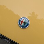 初駒 - 1970年アルファロメオ