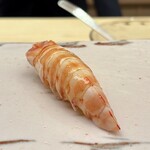 鮨 陸 - 車海老 44gのサイズ
      大きな車海老は私の好みではないのですが、火入れが軽い割りに甘みは豊かです♪