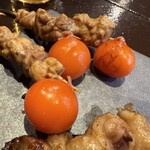 Tori Sakaba Tori Doma