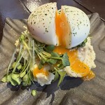 Tori Sakaba Tori Doma