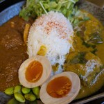 SPICE CURRY WANTED - 