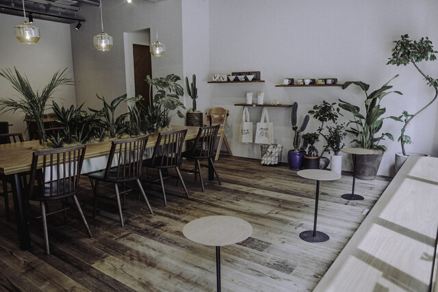 MOOD COFFEE & BAKE photo 5