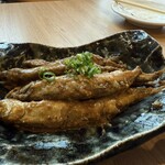 たまの井はん - 