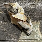 寿司割烹 魚紋 - 