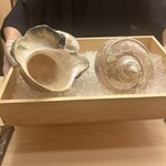 鮨 さえ喜 - 夜光貝