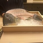 鮨 さえ喜 - シロクラベラ