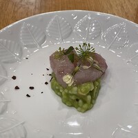 anchoa - 