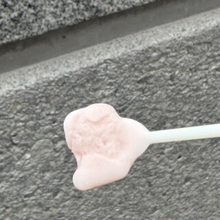 パークスローズガーデン_1