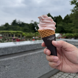 パークスローズガーデン_0