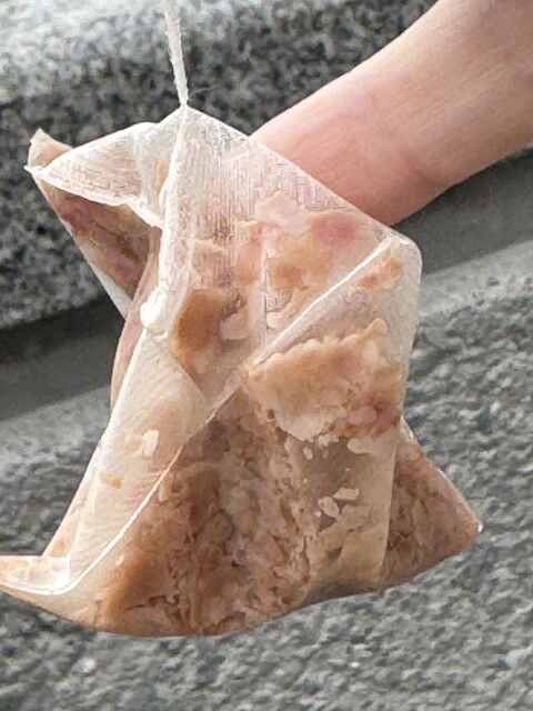 Parks Rose Garden Toritsu Jindai Shokubutsu Koen photo 4