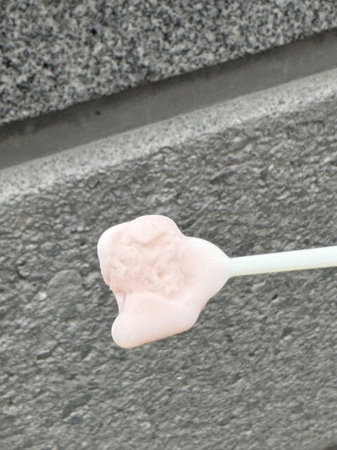 Parks Rose Garden Toritsu Jindai Shokubutsu Koen photo 2