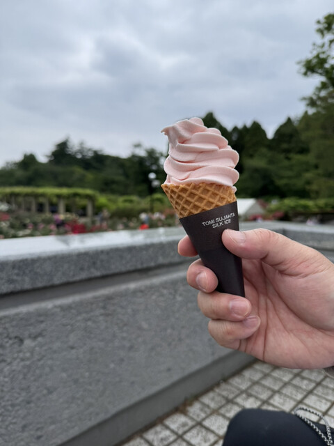 Parks Rose Garden Toritsu Jindai Shokubutsu Koen