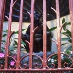 Chez LEON - ブシェール通りの脇に入ったフィデリテ袋小路にある小便少女。汗