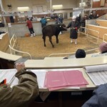 焼肉 ふるさと - 