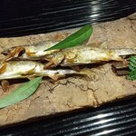 富小路 やま岸 - 