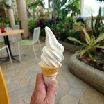 カフェオアシス - 2025年5月　ソフトクリーム