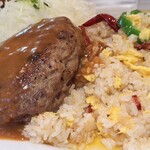 ロビン - ハンバーグサイド