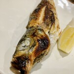 しんのすけ - あじ ※極上のシロアジ