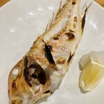 しんのすけ - 甘鯛