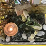 二階堂ラーメン - レジ前の箱庭（左近太郎）