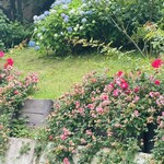 Le Petit Courageux - 