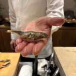 銀座 しのはら - 