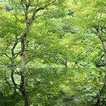 花筏 - 祐斎亭　水鏡