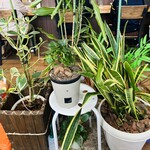 らーめん屋 やすひら - 