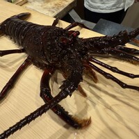 日本料理 みや  - 伊勢海老