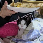 かねつき堂 - 家で食べてみた