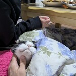 かねつき堂 - 家で食べてみた
