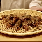 鮨 やすみつ - ガス海老