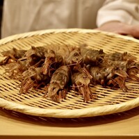 鮨 やすみつ - ガス海老