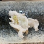 築地秀徳元祖 - 