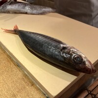 弧玖 - 