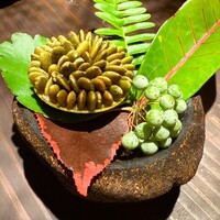 6 - 