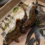 割烹　梅津 - 琵琶湖の鮎の塩焼き